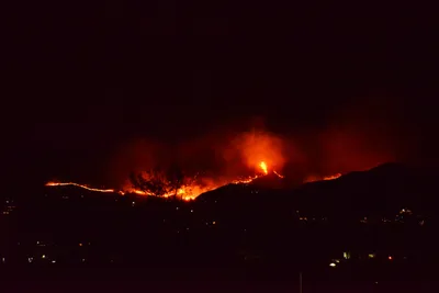 DSC_5625 (Large).JPG